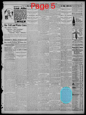 Page thumbnail for The Indianapolis Journal