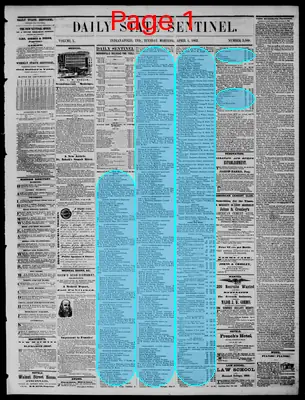 Page thumbnail for Daily State Sentinel