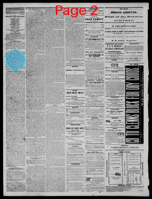 Page thumbnail for Daily State Sentinel