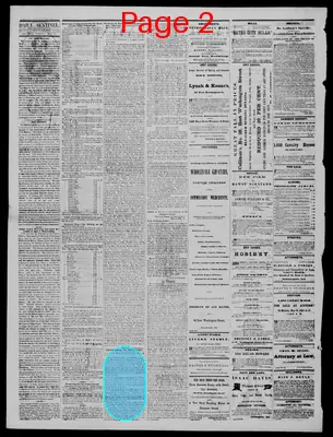 Page thumbnail for Daily State Sentinel