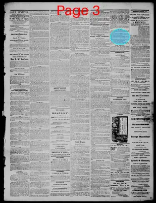 Page thumbnail for Daily State Sentinel