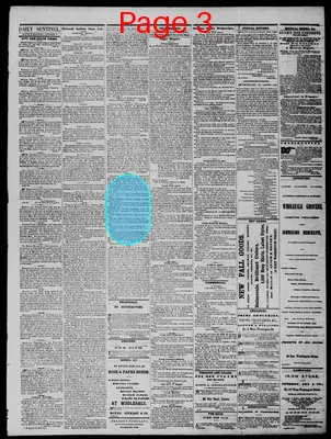 Page thumbnail for Daily State Sentinel
