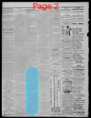 Page thumbnail for Daily State Sentinel