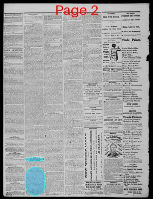Page thumbnail for Daily State Sentinel