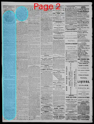 Page thumbnail for Daily State Sentinel