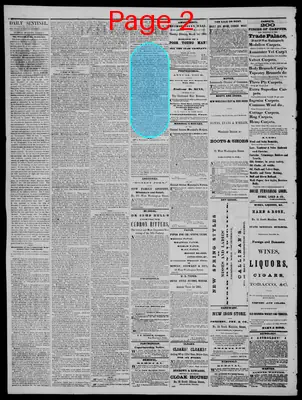 Page thumbnail for Daily State Sentinel