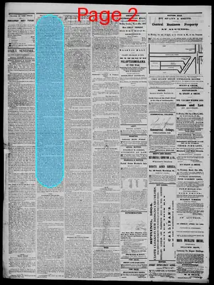 Page thumbnail for Daily State Sentinel