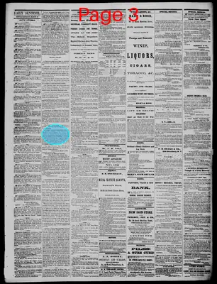 Page thumbnail for Daily State Sentinel