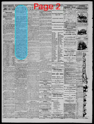 Page thumbnail for Daily State Sentinel