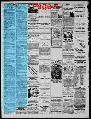 Page thumbnail for Daily State Sentinel