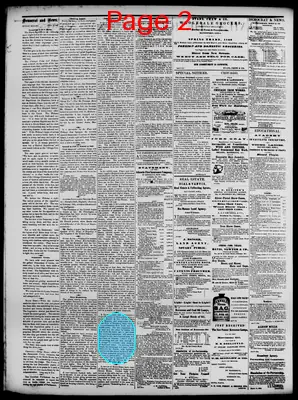 Page thumbnail for Daily Democrat And News