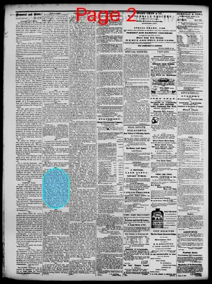 Page thumbnail for Daily Democrat And News