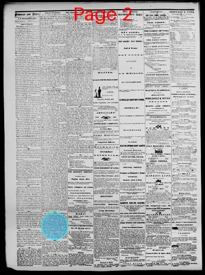 Page thumbnail for Daily Democrat And News