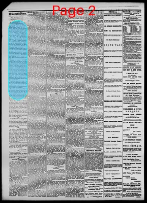 Page thumbnail for Daily Democrat And News