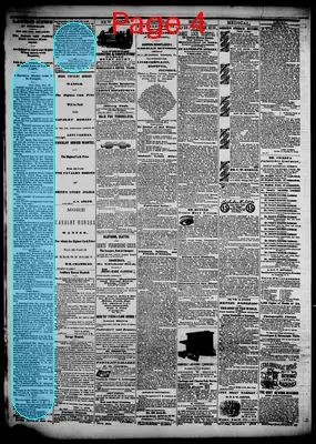 Page thumbnail for Daily Democrat And News