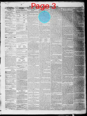 Page thumbnail for New Orleans Daily Crescent