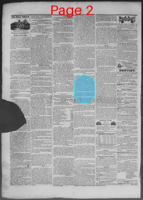 Page thumbnail for New Haven Daily Herald