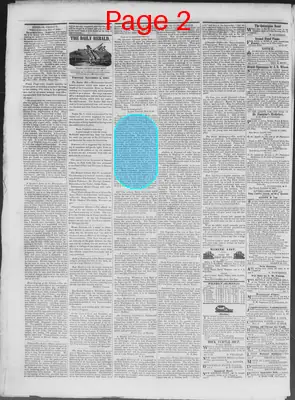 Page thumbnail for New Haven Daily Herald