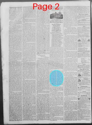 Page thumbnail for New Haven Daily Herald