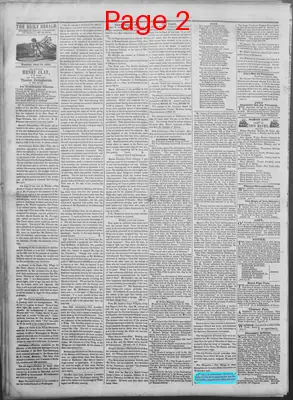 Page thumbnail for New Haven Daily Herald