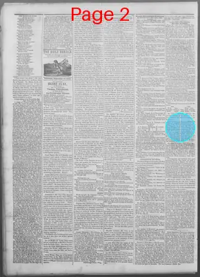 Page thumbnail for New Haven Daily Herald