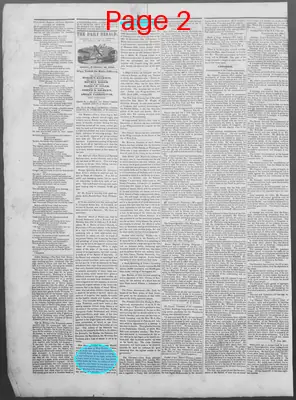 Page thumbnail for New Haven Daily Herald