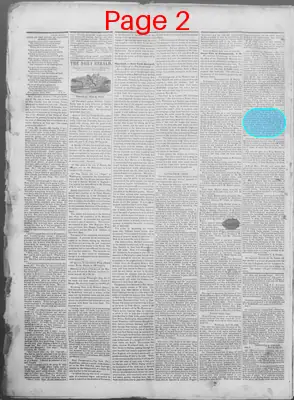 Page thumbnail for New Haven Daily Herald