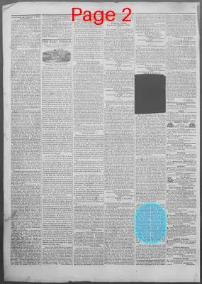 Page thumbnail for New Haven Daily Herald