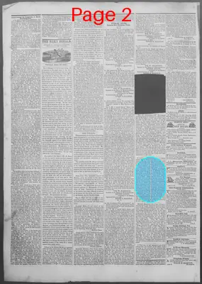 Page thumbnail for New Haven Daily Herald