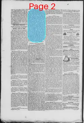 Page thumbnail for The Daily Herald