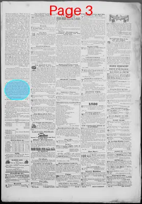 Page thumbnail for The Daily Herald