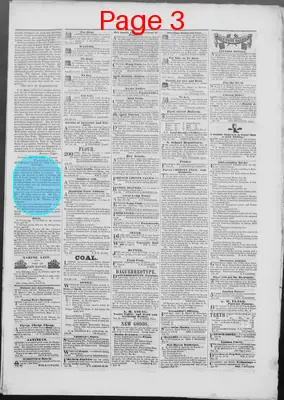 Page thumbnail for The Daily Herald