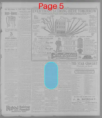 Page thumbnail for The Topeka State Journal