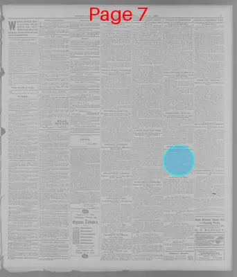 Page thumbnail for The Topeka State Journal