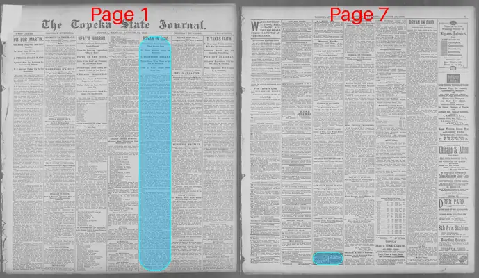 Page thumbnail for The Topeka State Journal