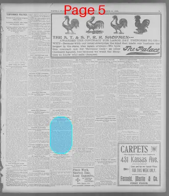 Page thumbnail for The Topeka State Journal