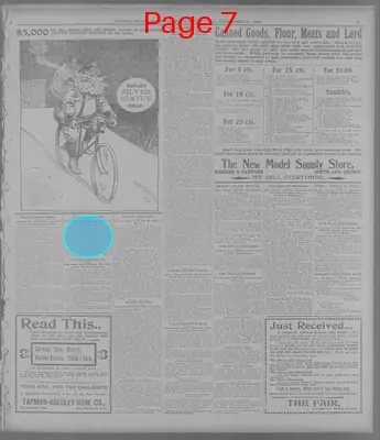 Page thumbnail for The Topeka State Journal