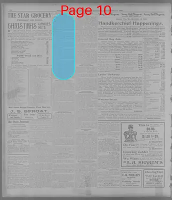 Page thumbnail for The Topeka State Journal