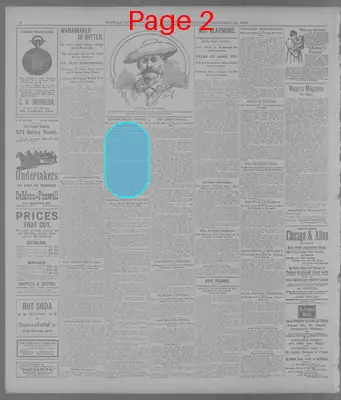Page thumbnail for The Topeka State Journal