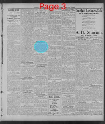 Page thumbnail for The Topeka State Journal