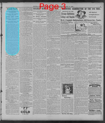 Page thumbnail for The Topeka State Journal
