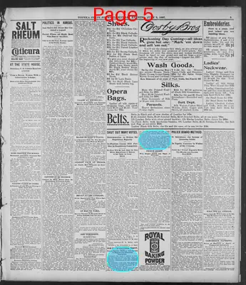Page thumbnail for The Topeka State Journal