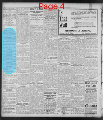Page thumbnail for The Topeka State Journal