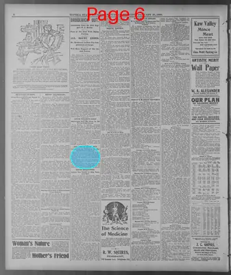Page thumbnail for The Topeka State Journal