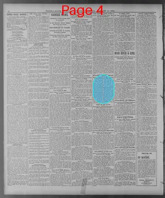 Page thumbnail for The Topeka State Journal