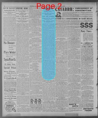 Page thumbnail for The Topeka State Journal