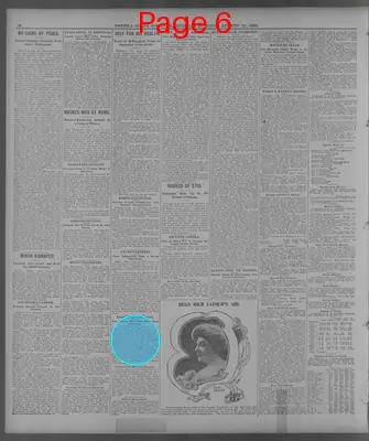 Page thumbnail for The Topeka State Journal