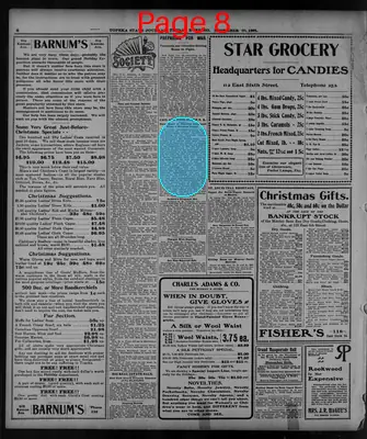 Page thumbnail for The Topeka State Journal