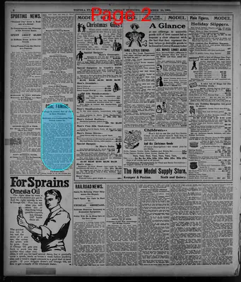 Page thumbnail for The Topeka State Journal