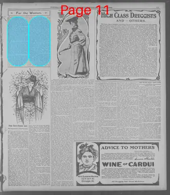 Page thumbnail for The Topeka State Journal